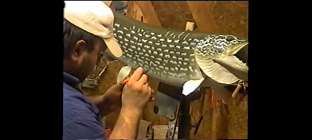 How to Paint a Northern Pike