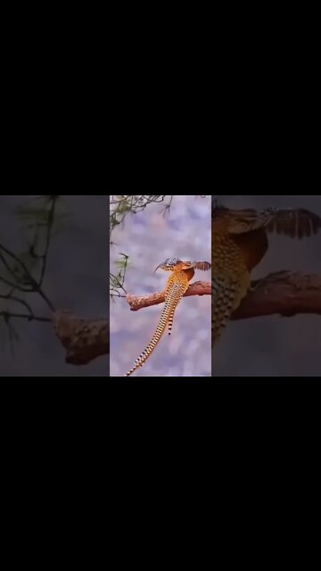 Good morning #shorts #subscribe #status #viral #trending #photography