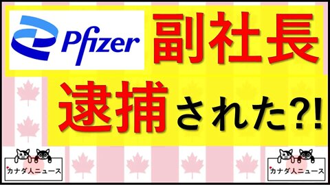 5.8 【ファクトチェック】逮捕の真相