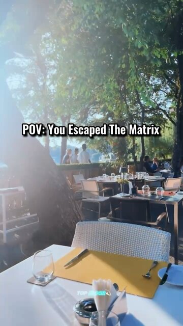 POV: You Finally Listened to Tate