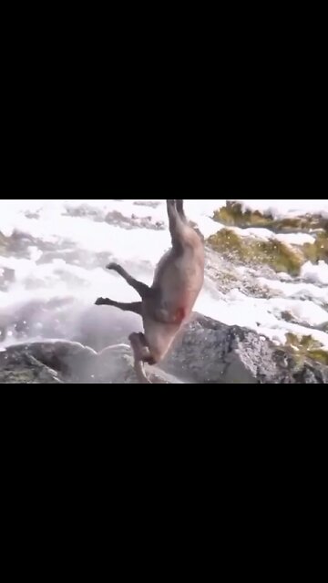 12.15.24 ADULTERY A SPIRITUAL FUNERAL?