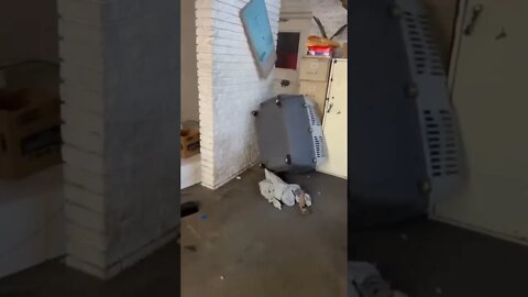 Equivalent of Slamming The Door to Your Room