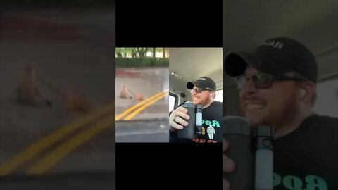 Here’s Your Dose Of REALarious…🤣🤣🤣 with @omgitswicks