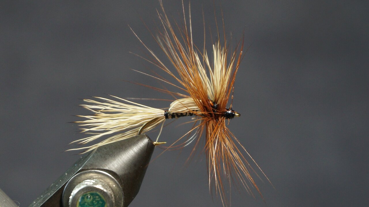 Humpy Variation (Fling & Puterbaugh 19/30)