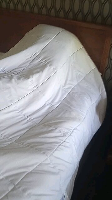 did I leave a body in the hotel room pt1