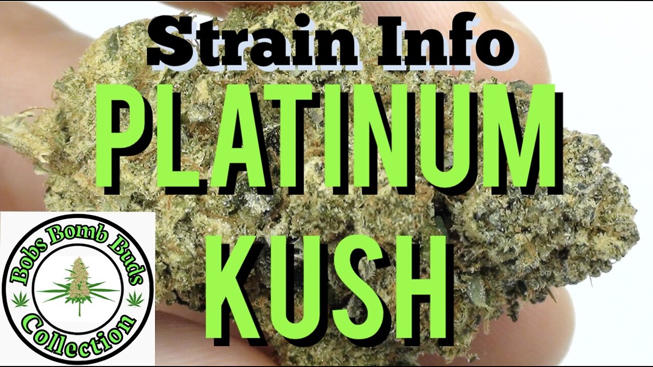 Platinum Kush, Cannabis Strain. BC Bud Supply Marijuana Dispensary