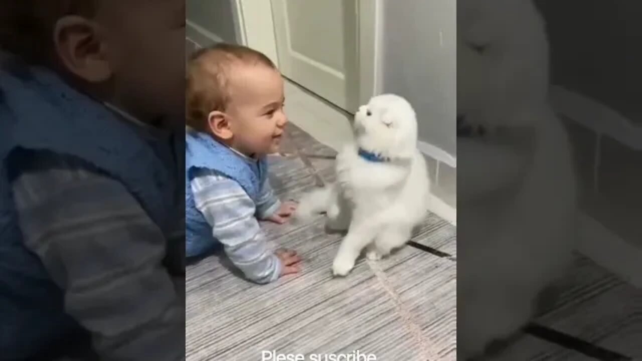 cute baby and my cats lovely moments❤️💯👍