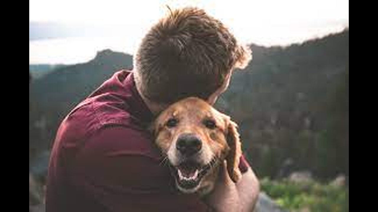 Animals Reunited With Owners After Years !