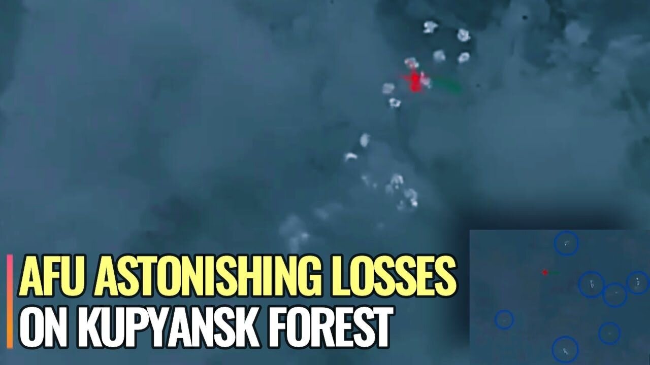 Ukrainian formations ended en masse in Kupyansk Forest