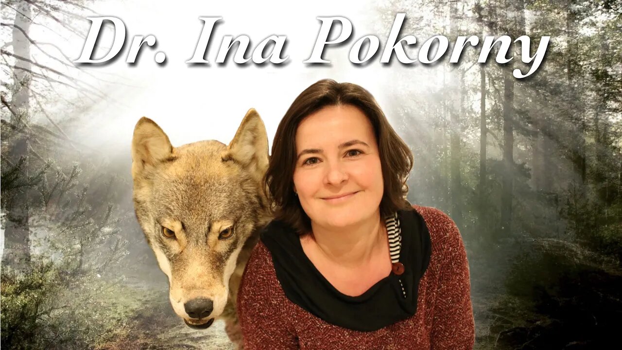 Wölfe im Papierkarton - Dr. Ina Pokorny