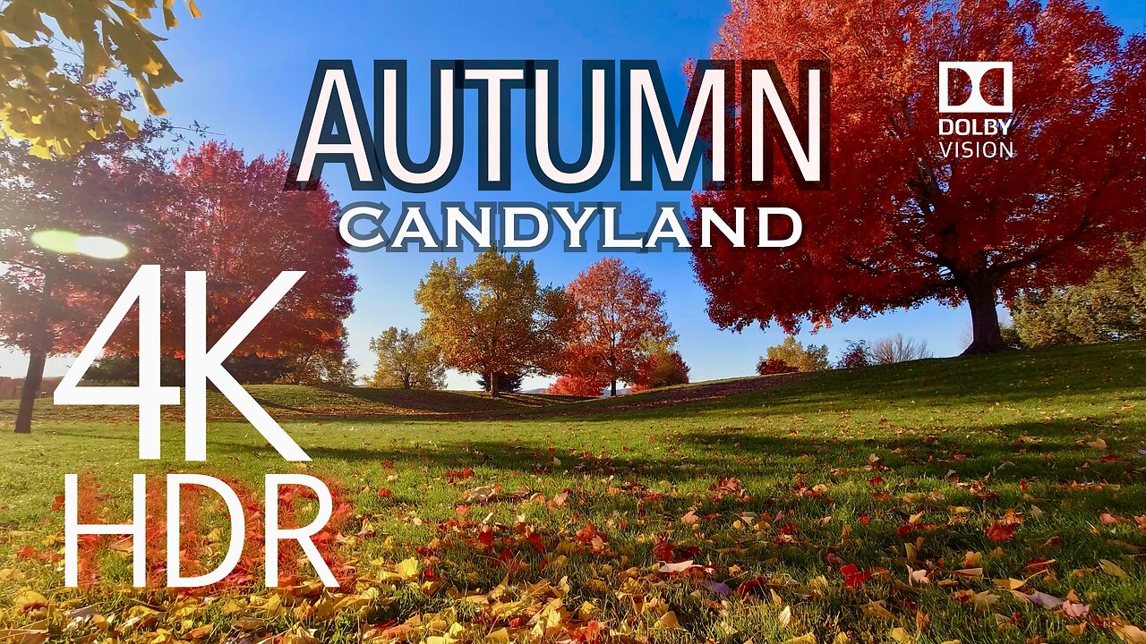 Dolby Vision HDR Nature Video - "Autumn In CandyLand" - Dream A Little Dream Too