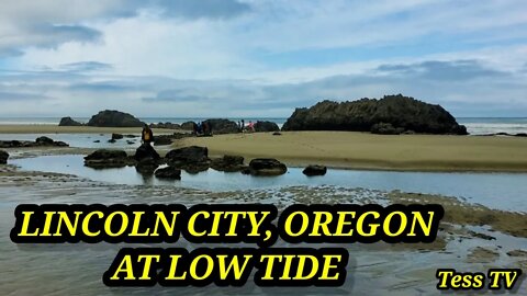 LINCOLN CITY, OREGON 🇺🇲 at LOW TIDE