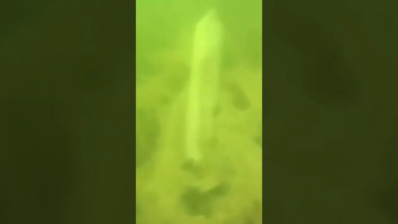 Breaking News (War-Related) #shorts