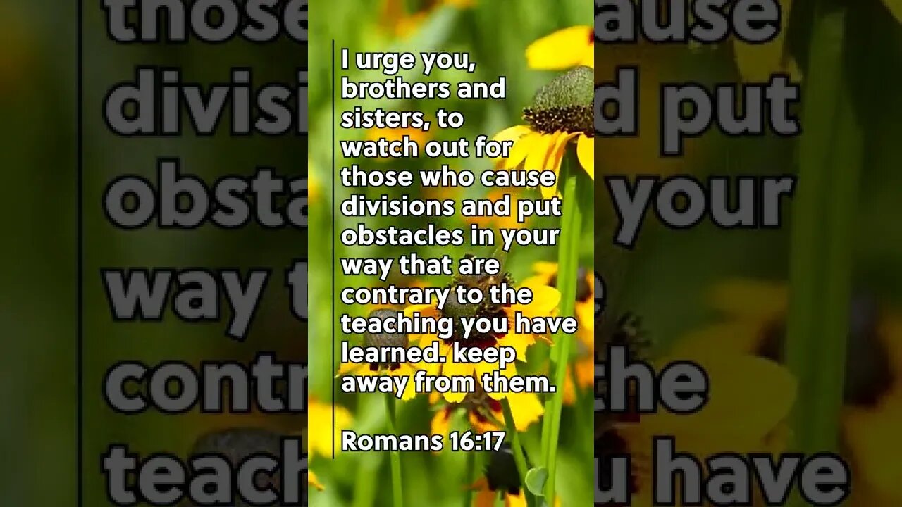 THEY ARE TEACHING WRONG! | MEMORIZE HIS VERSES TODAY | Romans 16:17 With Commentary!