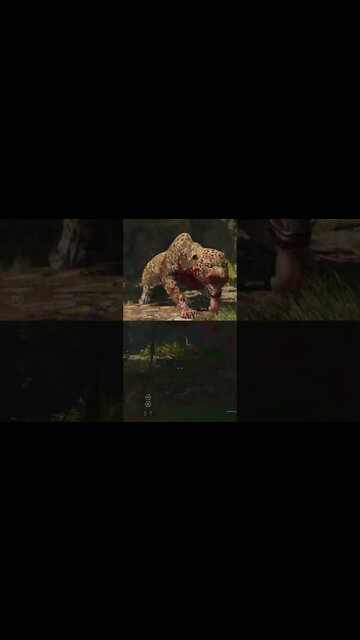 não se pode mais nem se esconder em cima das arvores #shorts