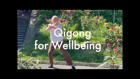 Mitch Hall Qigong Preview (Meaning Conference 2021)