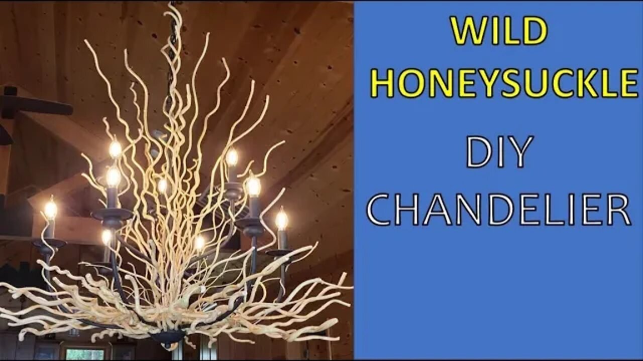 Wild Honeysuckle Chandelier. From Woods to WOW!!!!!!!!