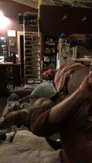 Eva does NOT like fake farts