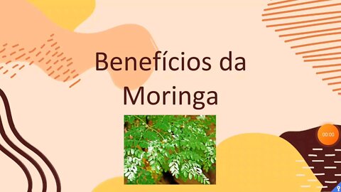 🌿A moringa contém todos os aminoácidos essenciais que o corpo necessita