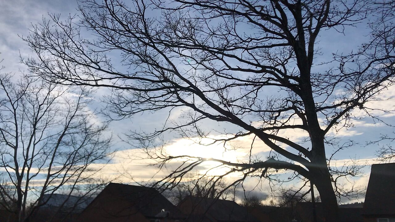 4.07 pm 19/02/2023 White lines from planes turn into cigar shape clouds ?