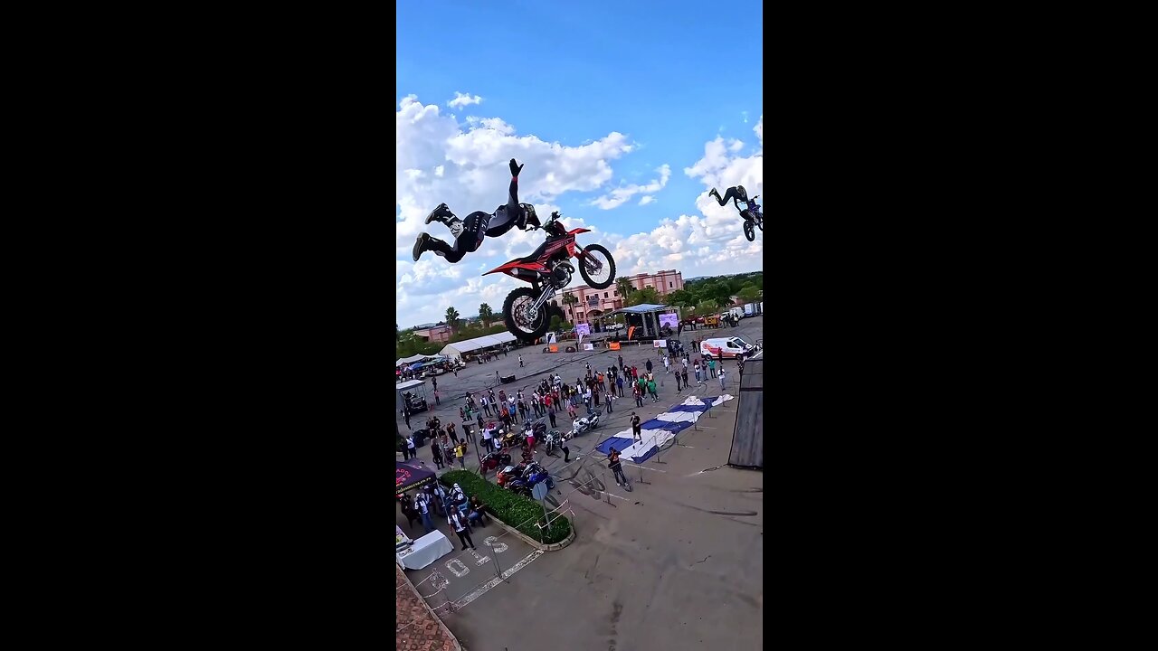 Fly in the sky