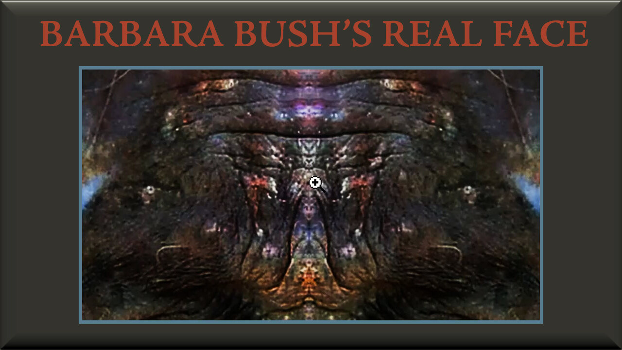 Barbara Bush's Real Face ( 12th November, 2024 )