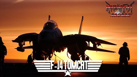 RazörFist Arcade - F-14 TOMCAT (DCS Flight Sim)