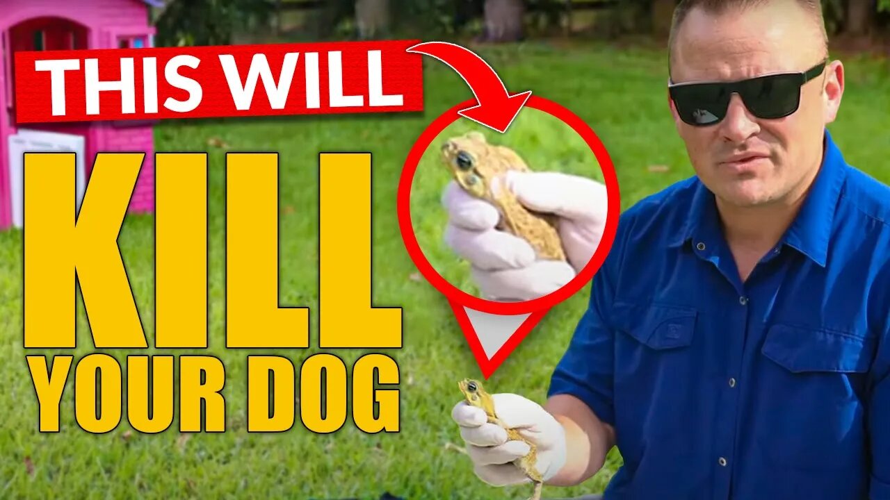 WARNING! ⚠️ #1 DOG KILLER