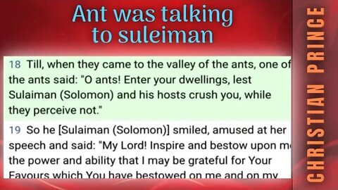 One ant was talking to suleiman - Christian Prince explains