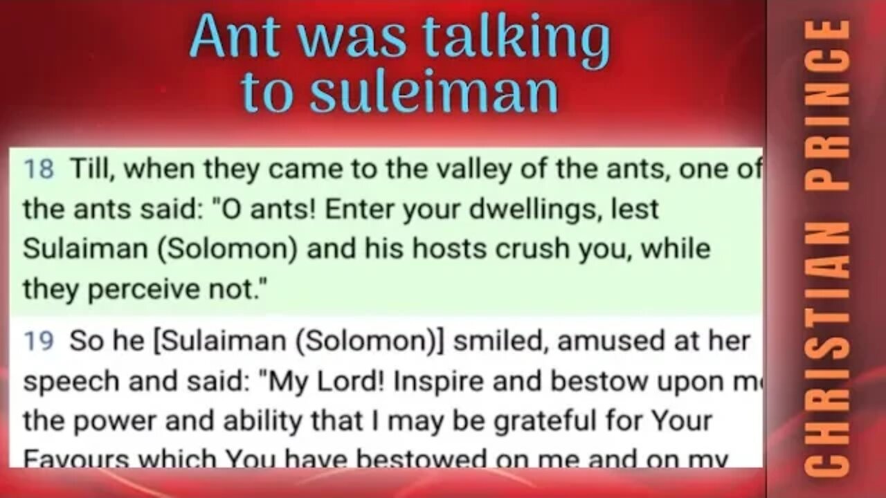 One ant was talking to suleiman - Christian Prince explains