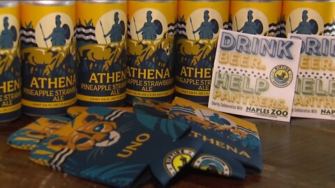 Brew for the Zoo helping Florida's panther population one pint at a time