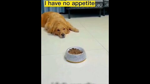 I have no appetite