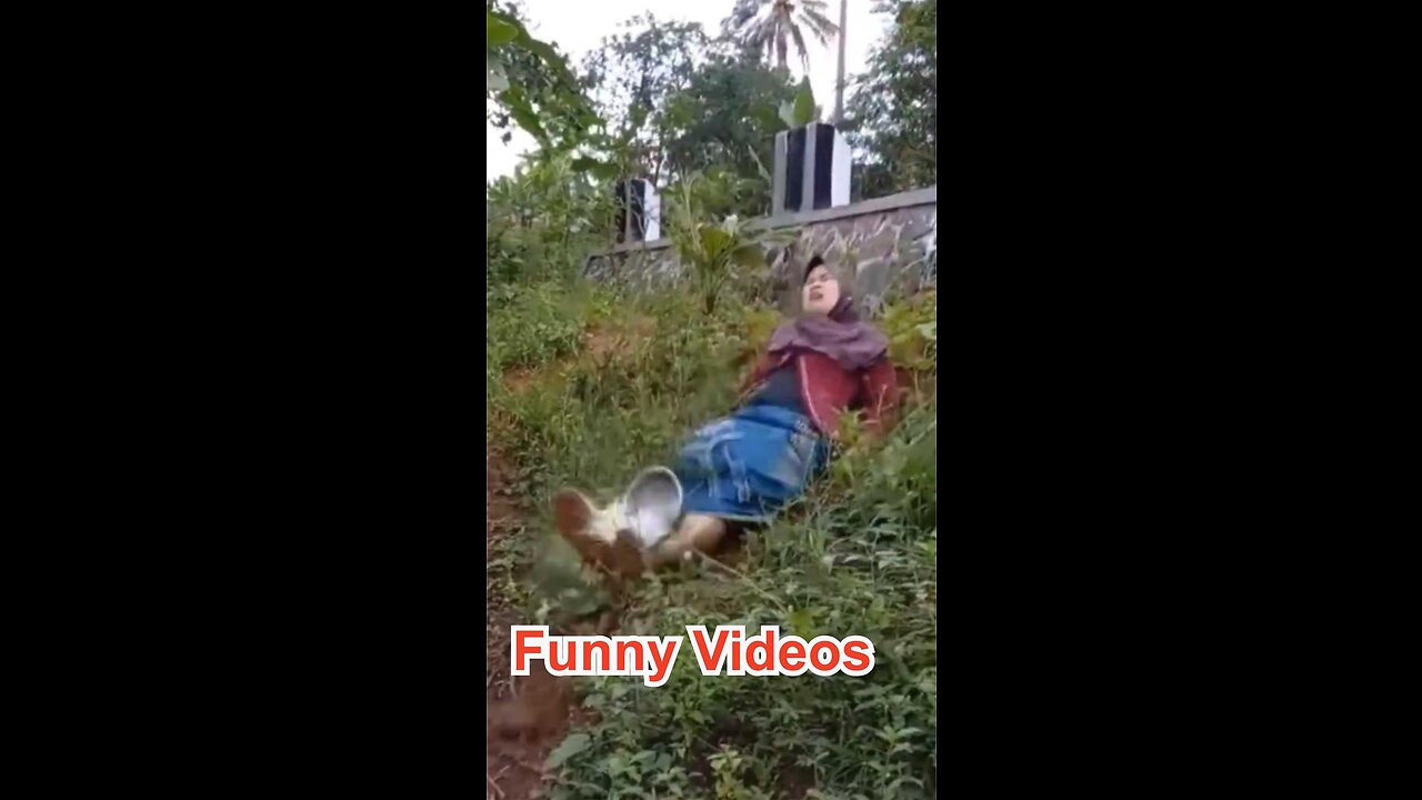 Funny Videos