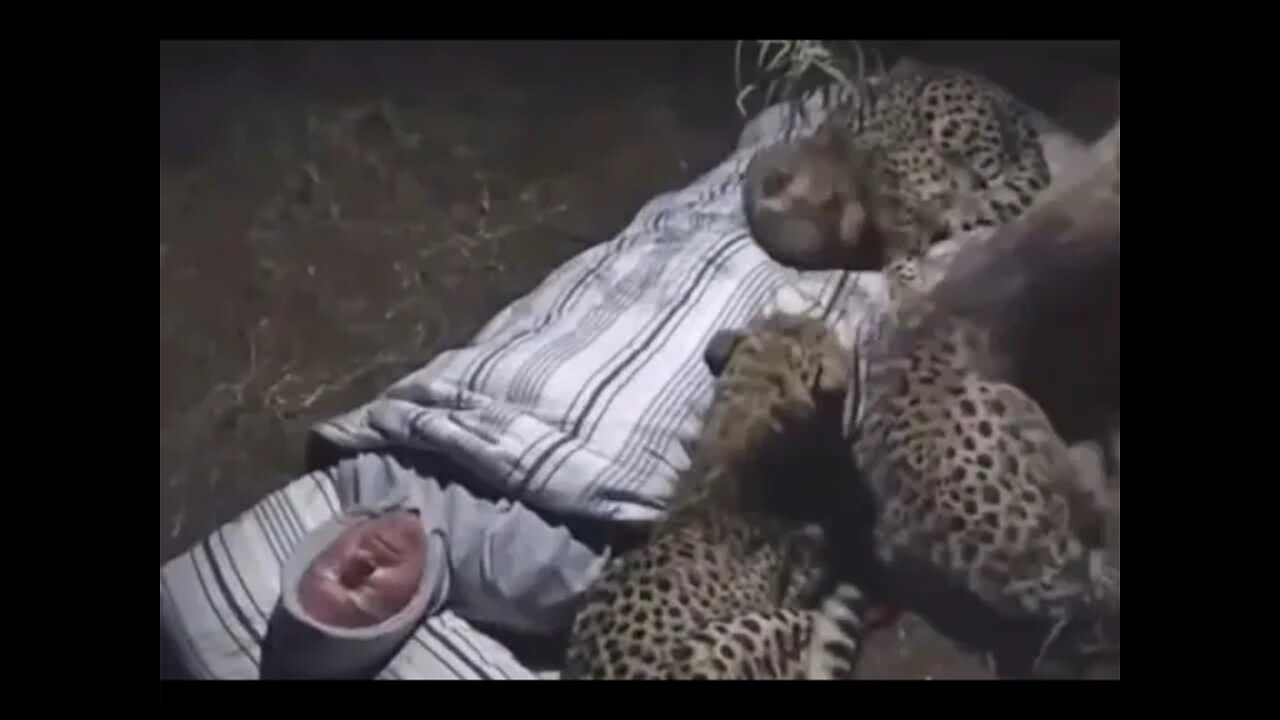 ۶ مارس ۲۰۲۲