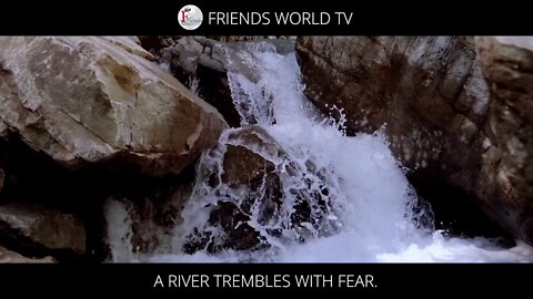 Fear