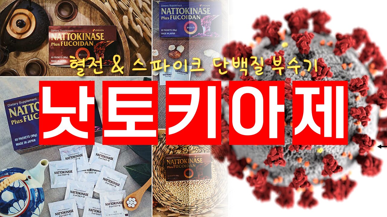 혈전+스파이크단백질 해독 = 낫토키아제