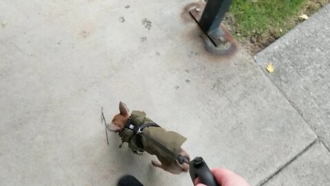 Walking with his new jacket