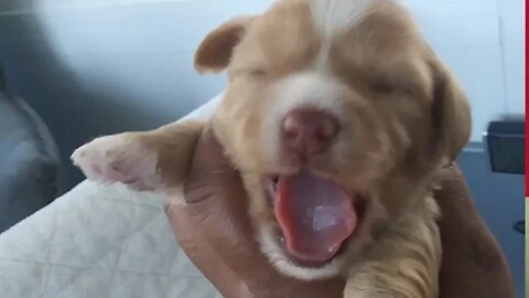 J Litter-2 Weeks Tomorrow