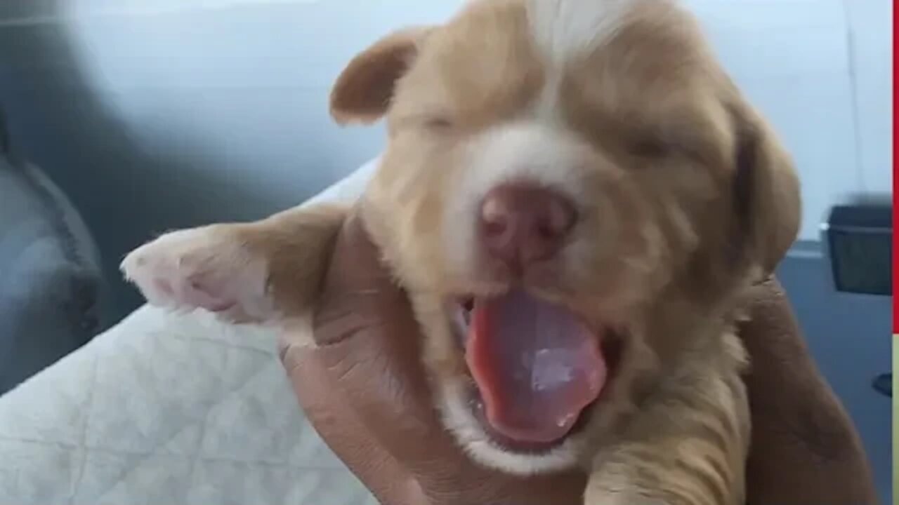 J Litter-2 Weeks Tomorrow