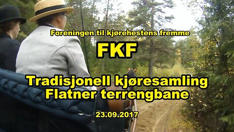 Foreningen til kjorehestens fremme FKF