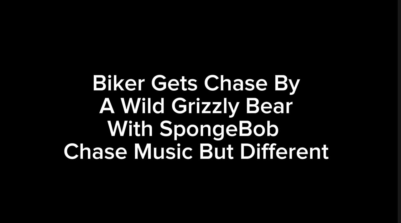 Biker Gets Chase By A Wild Grizzly Bear With SpongeBob Chase Music But Different