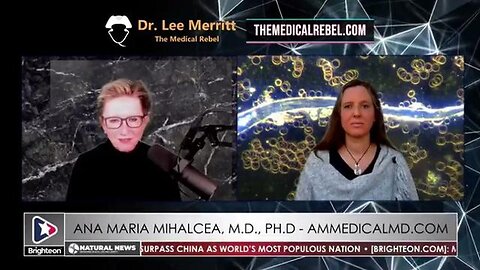 Dr. Lee Merritt ft. Dr. Ana Maria Mihalcea: The Big Picture, Nanotechnology & Detox Solutions