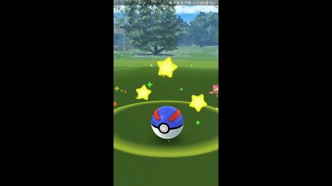 Live Pokémon GO -
