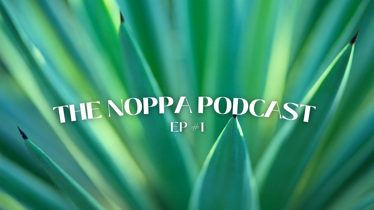 The NOPPA Podcast EP #1