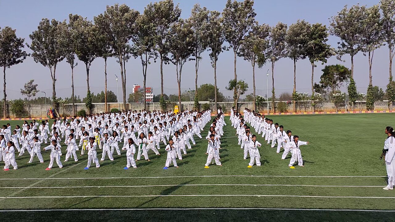 aarohi Karate