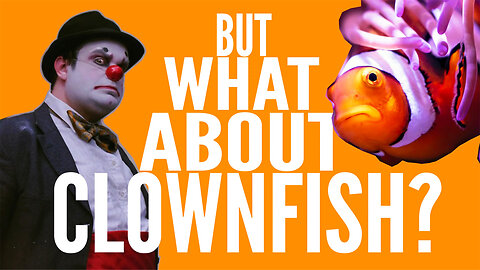 Human Beings Aren't Clownfish (How the HELL did this not get millions of views?)