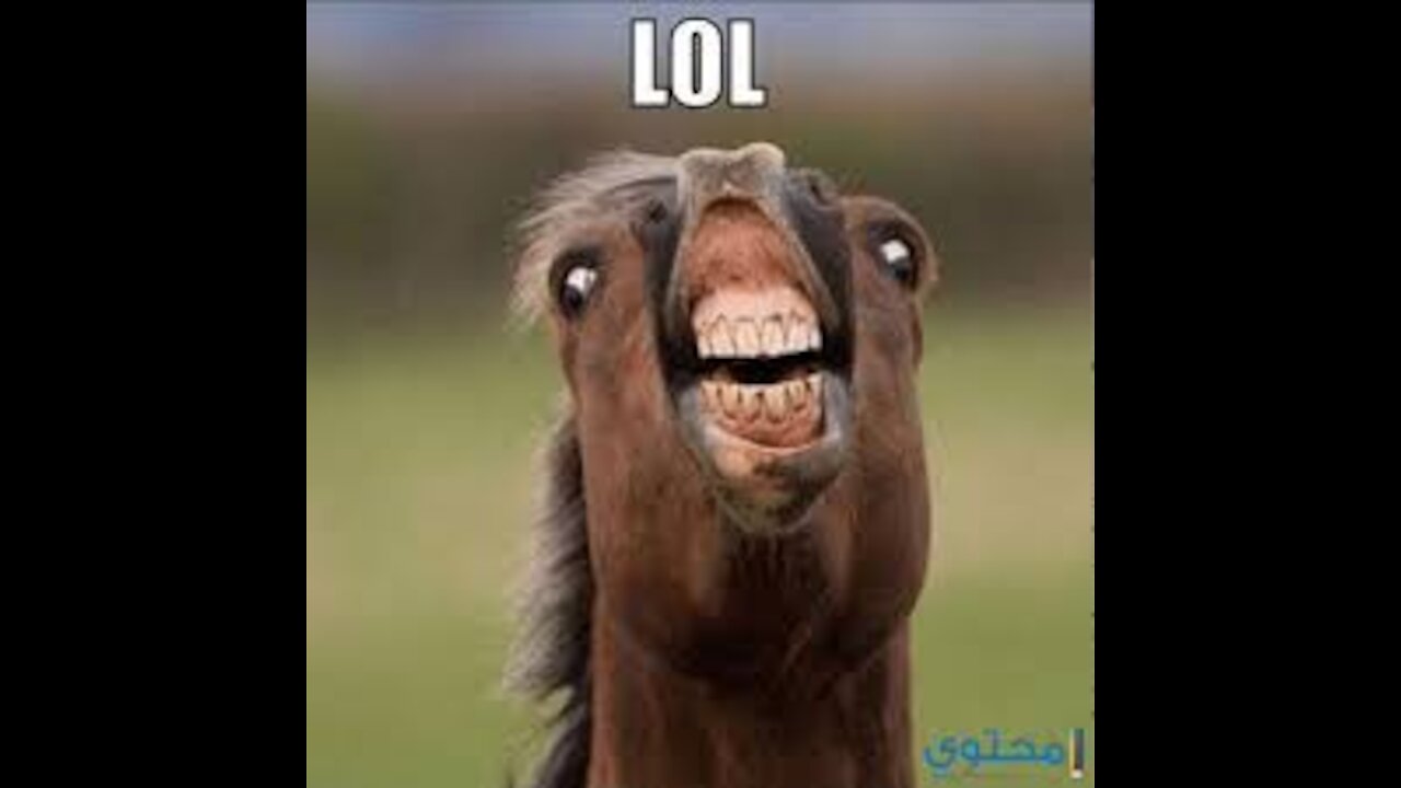 Laughed hysteria
