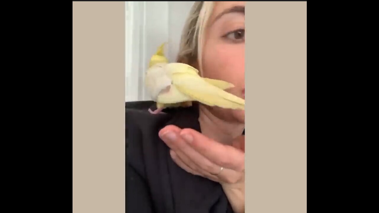 A bird gives egg to her. .
