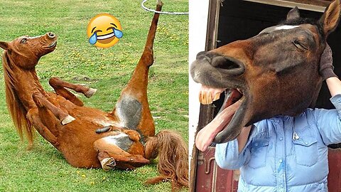 Crazy Horse Fails: The Best Horse Videos Ever