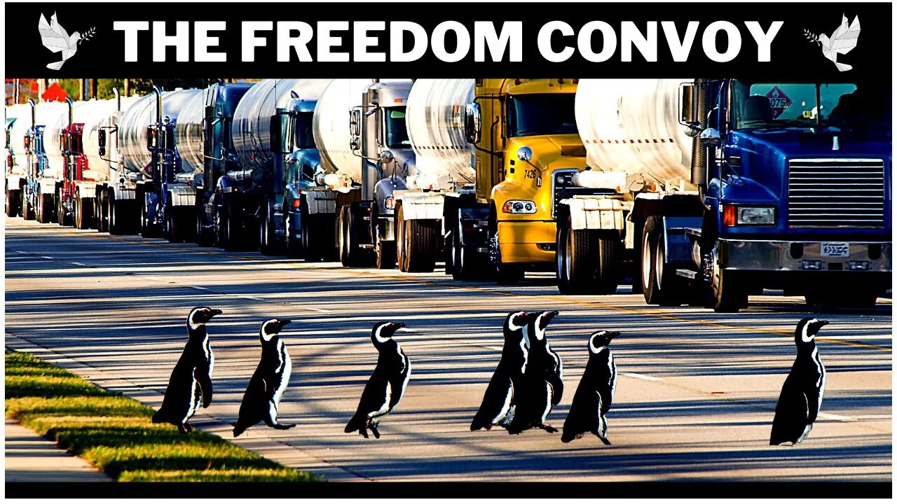 THE "FREEDOM" CONVOY 2022